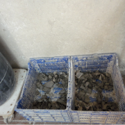 n) The boxes to keep the used clay.